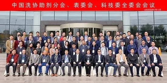 5 中国洗协表委会科技委第七届四次全委会会议.JPG